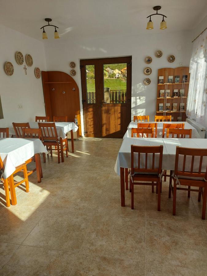 Pensiunea Albina Sinnicoara Εξωτερικό φωτογραφία