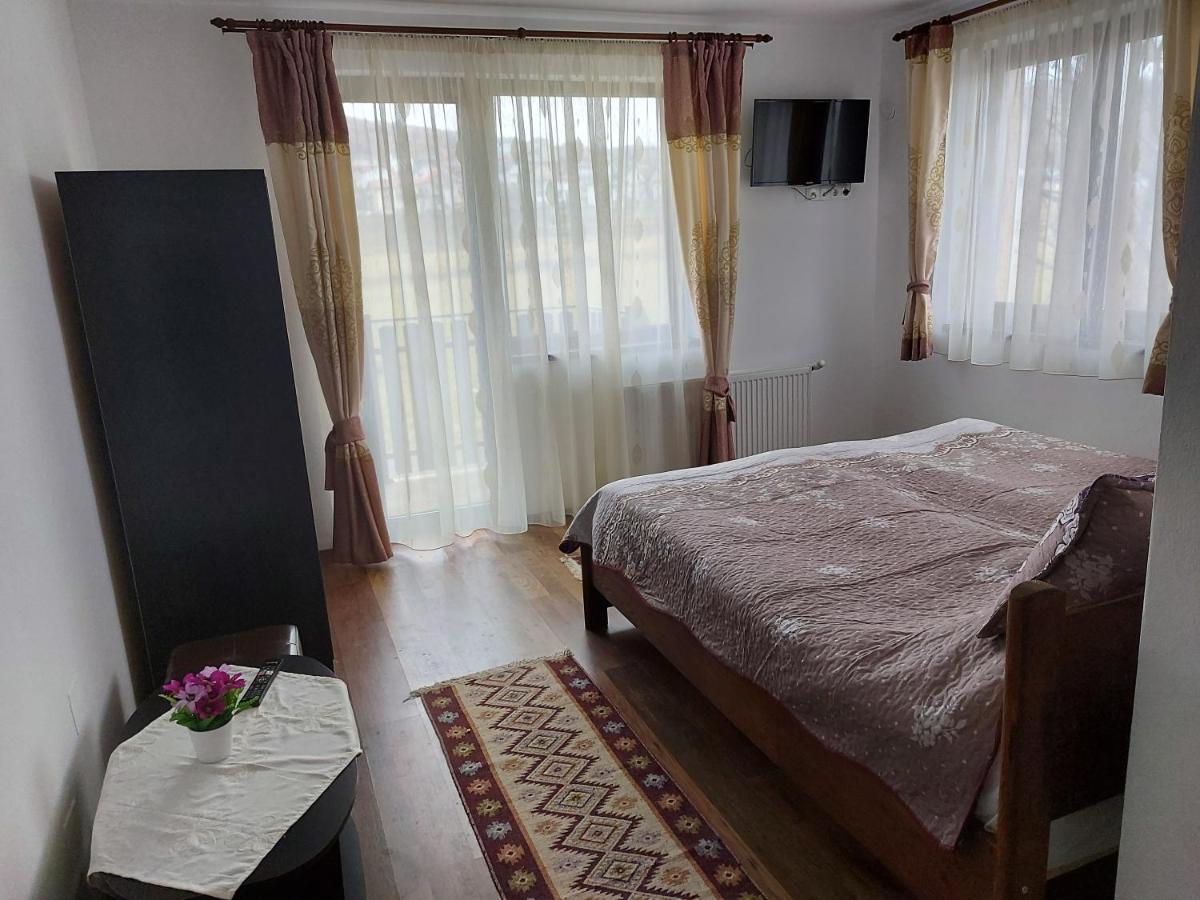 Pensiunea Albina Sinnicoara Εξωτερικό φωτογραφία