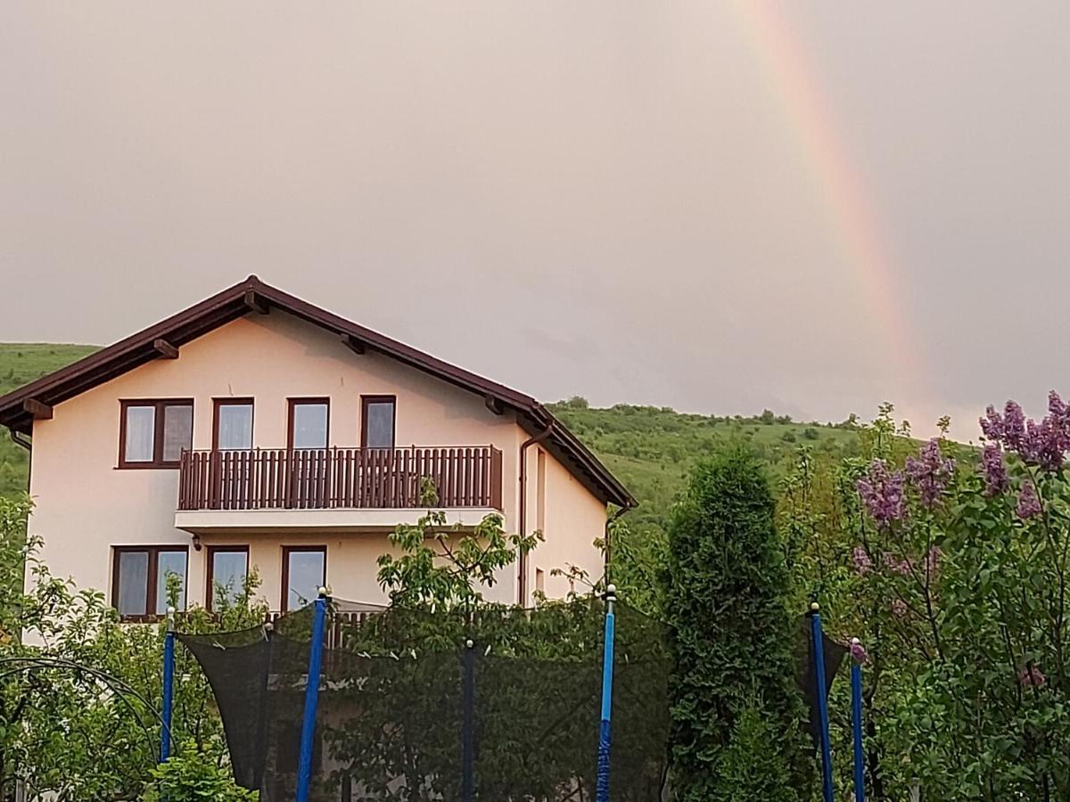 Pensiunea Albina Sinnicoara Εξωτερικό φωτογραφία
